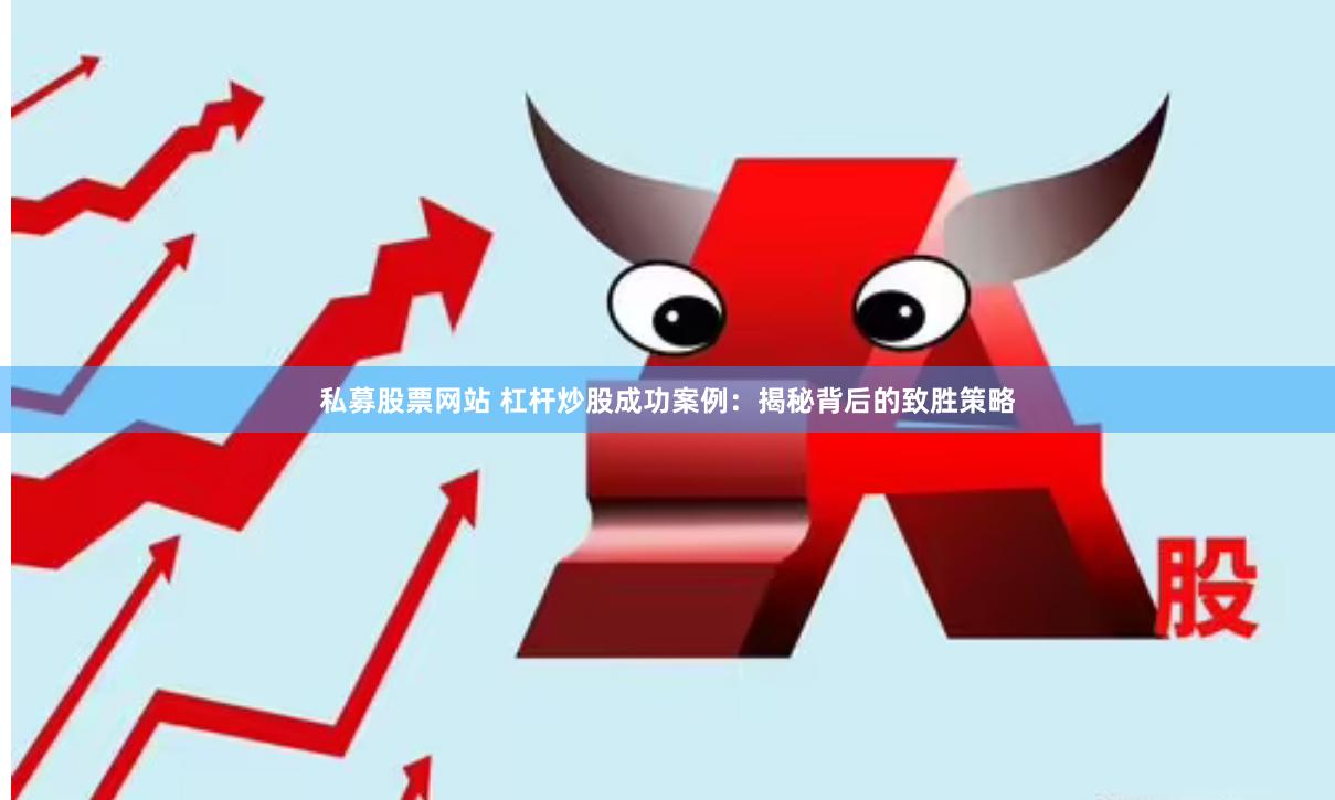 私募股票网站 杠杆炒股成功案例：揭秘背后的致胜策略