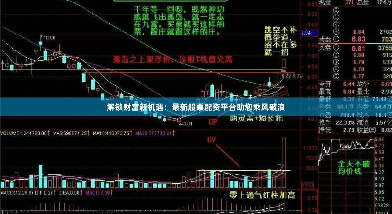 解锁财富新机遇：最新股票配资平台助您乘风破浪