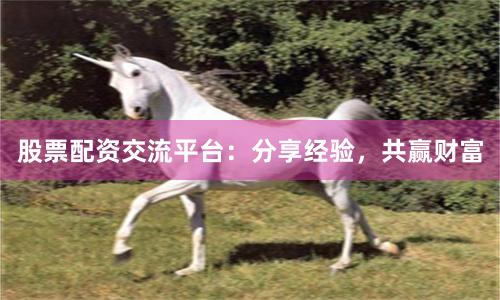 股票配资交流平台:分享经验,共赢财富